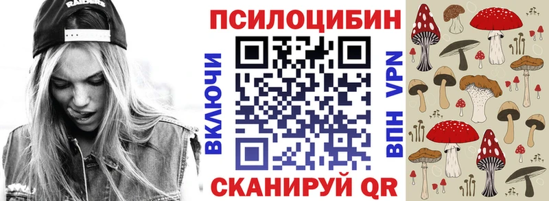 где купить   Дигора  Псилоцибиновые грибы Psilocybe 
